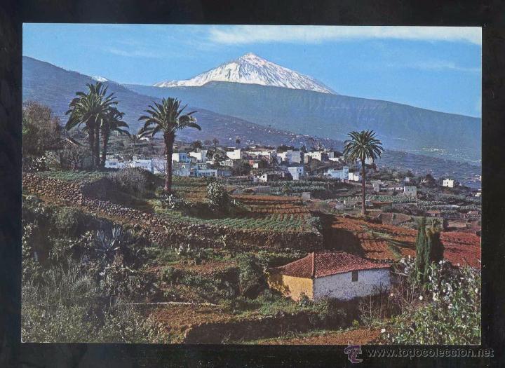 Postales: Puerto de la Cruz *Valle...* Ed. Ro-Foto n&ordm; 375. Nueva.