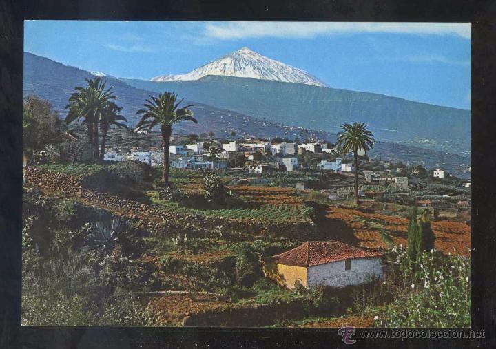 Postales: Puerto de la Cruz *Valle...* Ed. Ro-Foto n&ordm; 375. Circulada.