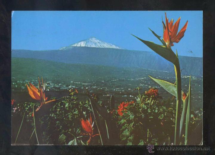 Postales: Puerto de la Cruz *Paisaje...* Ed. Ro-Foto n&ordm; 388. Circulada 1971.