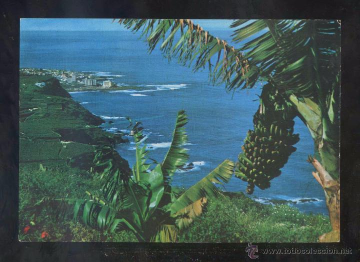 Postales: Puerto de la Cruz. *Litoral* Ed. Fotocolor Valman n&ordm; 286. Nueva.