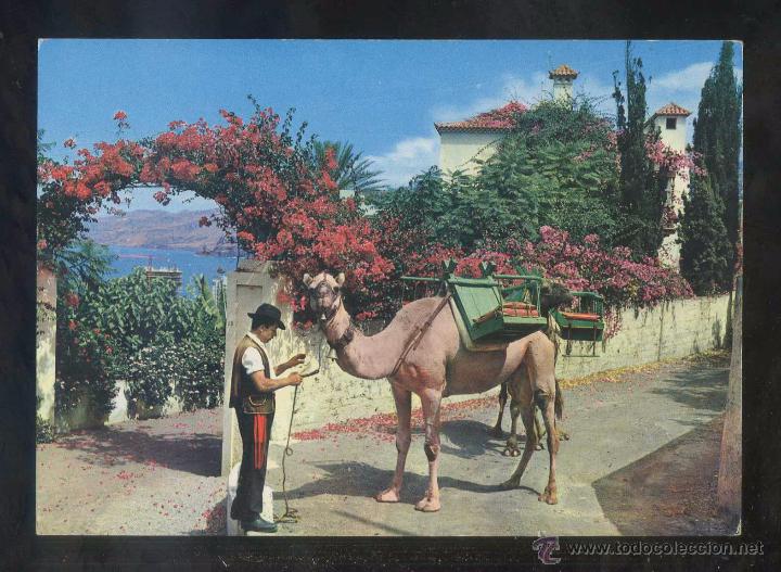 Postales: Puerto de la Cruz *Motivo t&iacute;pico* Ed. Fotocolor Valman n&ordm; 362. Nueva.