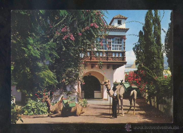 Postales: Puerto de la Cruz *Motivo t&iacute;pico* Ed. Fotocolor Valman n&ordm; 366. Nueva.