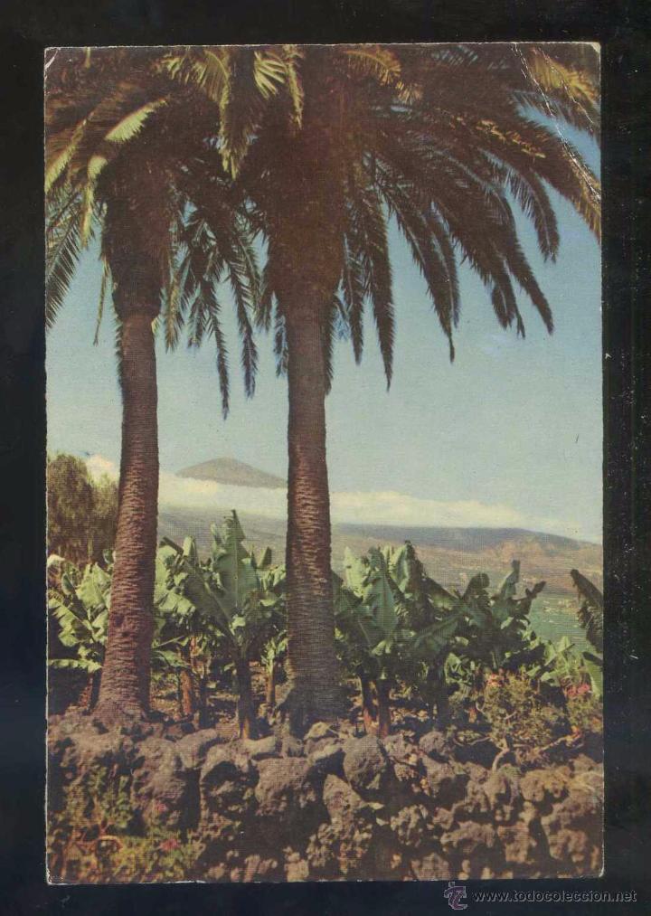 Postales: *El Teide...* Ed. Dist. Editorial Canaria n&ordm; 19. Circulada 1960.