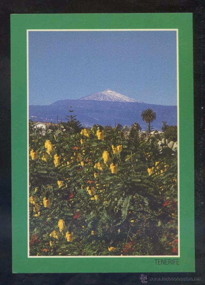Postales: *El Teide* Ed. Anibarro n&ordm; 207. Nueva.