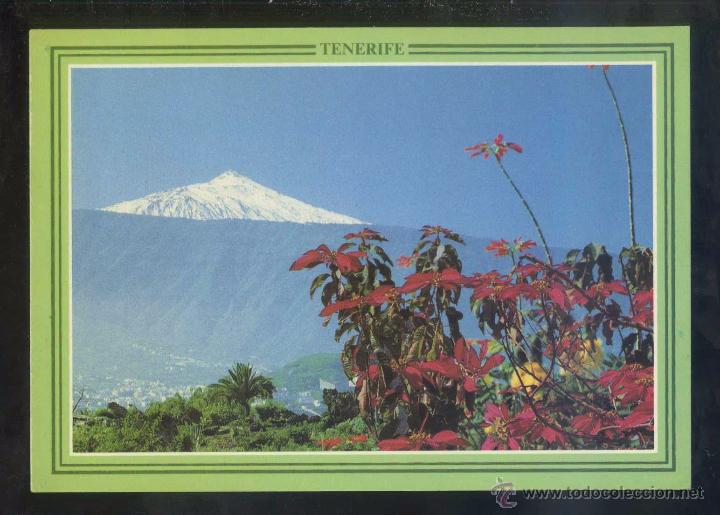 Postales: *El Teide* Ed. Anibarro n&ordm; 41. Nueva.