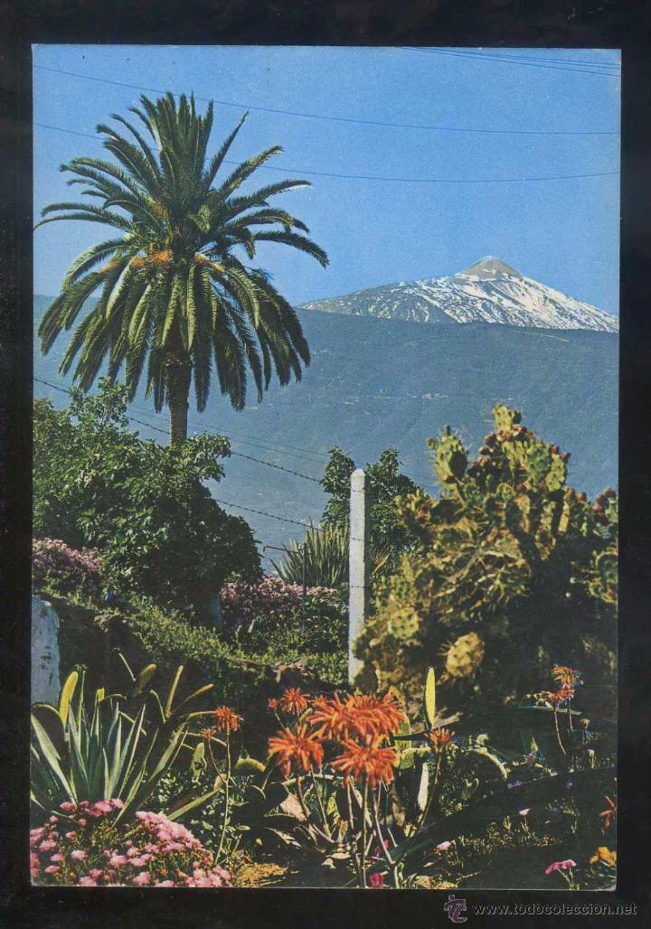 Postales: *El Teide* Ed. Anibarro n&ordm; 73. Circulada 1983.