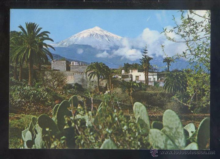 Postales: Teide *Vista...* Ed. David n&ordm; 477. Nueva.