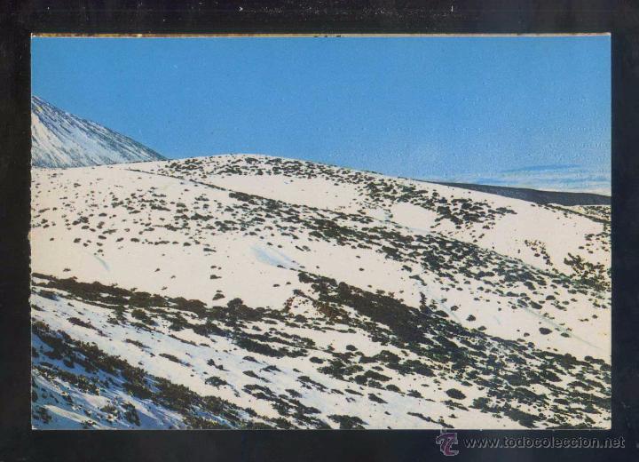Postales: Teide *Teide nevado* Sin datos editor n&ordm; 571. Nueva.
