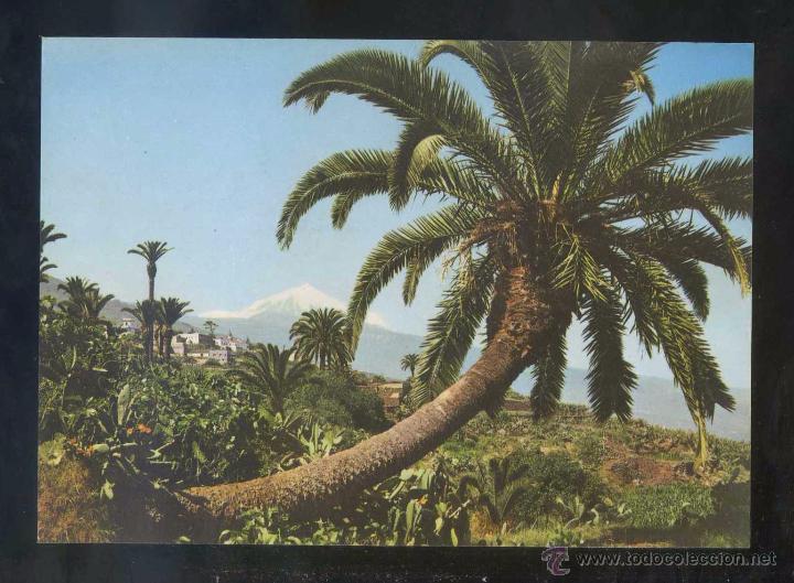 Postales: Teide *Palmeras...* Ed. Arribas n&ordm; 2201. Circulada 1978.