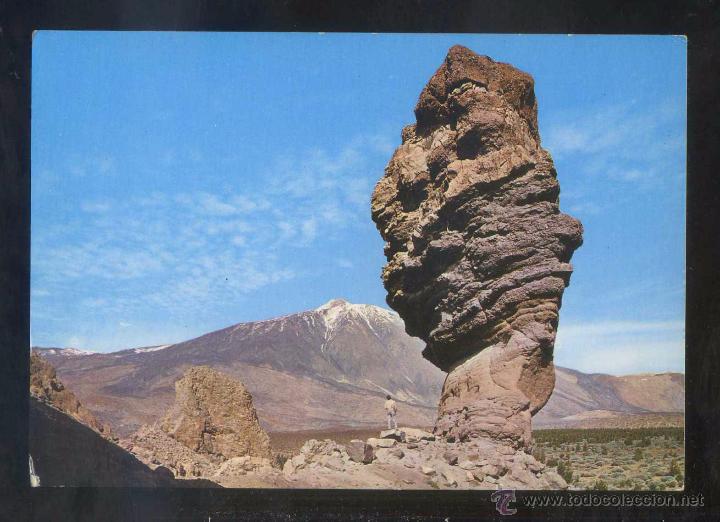 Postales: Teide. *&Aacute;rbol de Piedra...* Ed. Arribas n&ordm; 2353. Nueva.