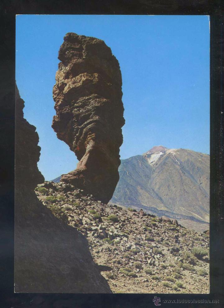 Postales: Teide *&Aacute;rbol de Piedra...* Ed. Arribas n&ordm; 506. Circulada 1971.