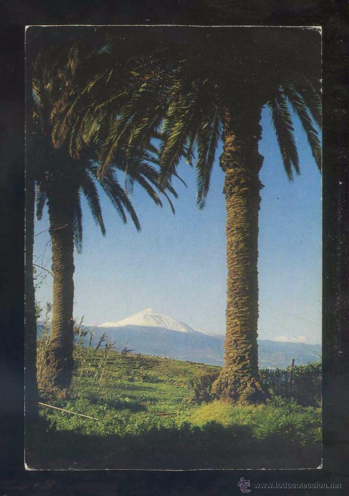 Postales: Teide *El Teide...* Ed. Bergas n&ordm; 16. Nueva.