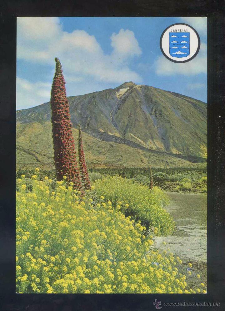 Postales: Teide *Tajinastes...* Ed. Bergas n&ordm; 34. Nueva.