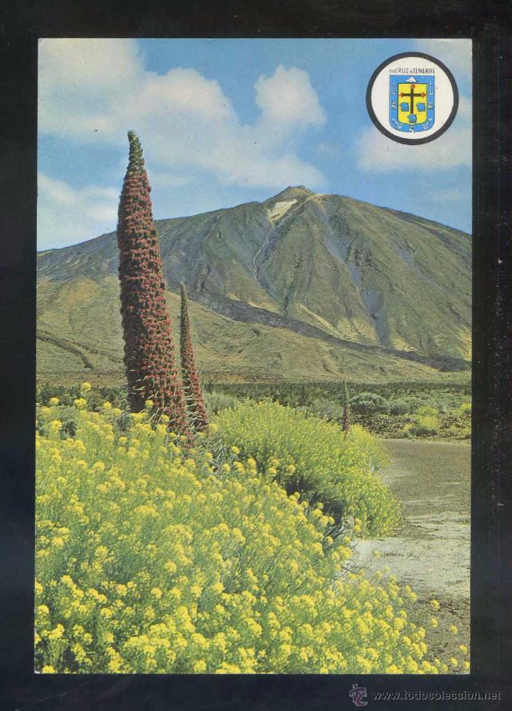 Postales: Teide *Tajinastes...* Ed. Bergas n&ordm; 34. Circulada 1971.
