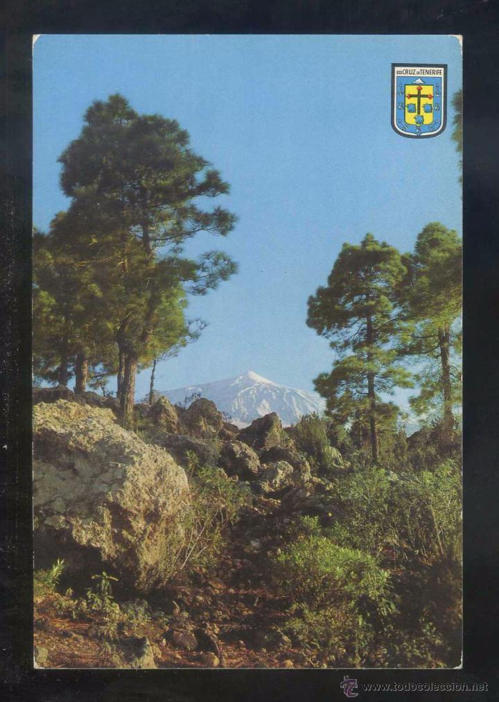 Postales: Teide *Paisaje...* Ed. Oscar Color n&ordm; 38. Nueva.