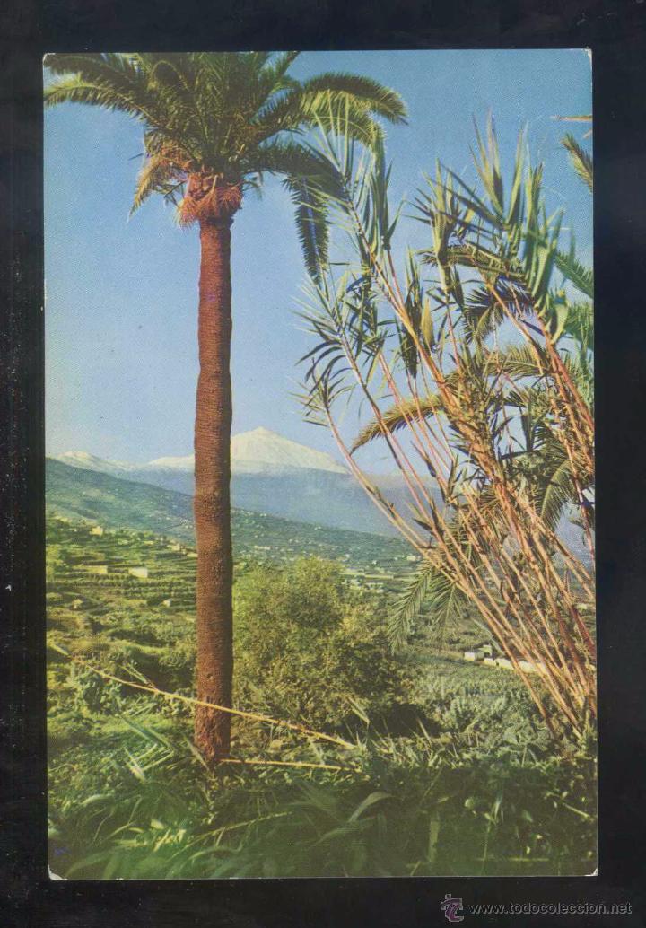 Postales: Teide *El Teide...* Ed. A. Campa&ntilde;&aacute; y J. Puig-Ferr&aacute;n serie II n&ordm; 7360. Nueva.
