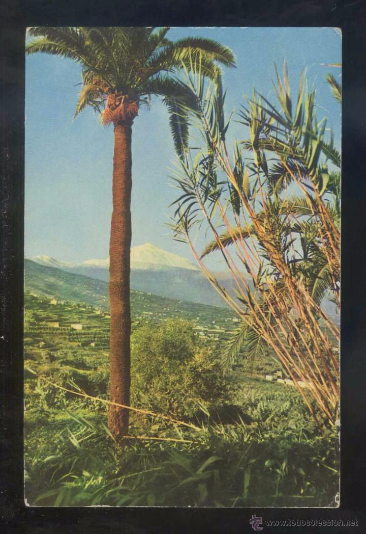 Postales: Teide *El Teide...* Ed. A. Campa&ntilde;&aacute; y J. Puig-Ferr&aacute;n serie II n&ordm; 7360. Nueva.