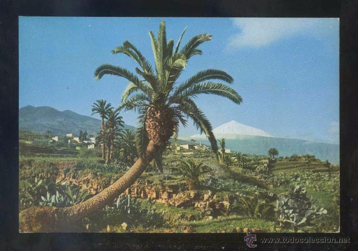 Postales: Teide *El Teide...* Ed. A. Campa&ntilde;&aacute; y J. Puig-Ferr&aacute;n serie II n&ordm; 7351. Nueva.