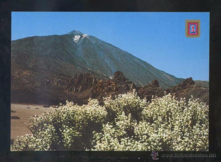 Postales: Teide *Teide...* Ed. Fisa n&ordm; 49. Nueva.