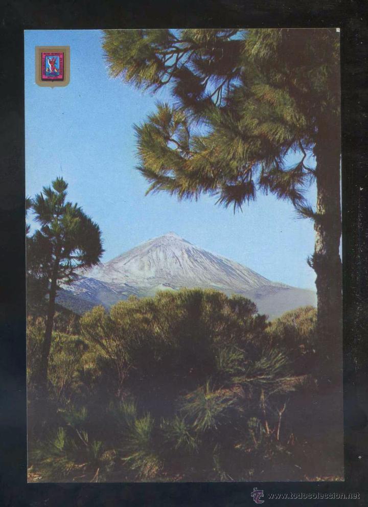 Postales: Teide *El Teide...* Ed. Fisa n&ordm; 71. Nueva.