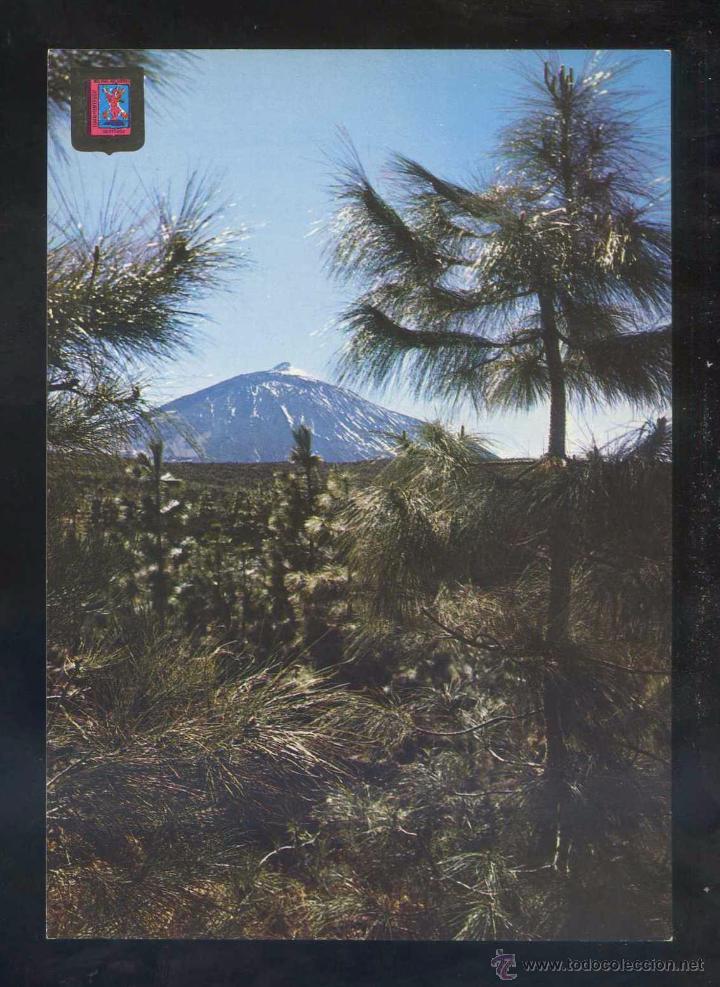 Postales: Teide *El Teide* Ed. Fisa n&ordm; 247. Nueva.