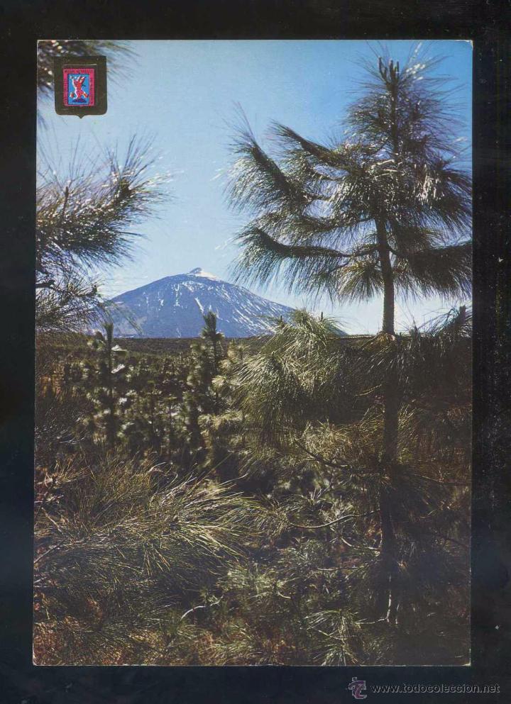 Postales: Teide *El Teide* Ed. Fisa n&ordm; 247. Nueva.