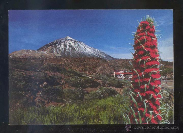Postales: Teide *El Portillo...* Ed. Eurimpex n&ordm; TE-126. Circulada 1981.