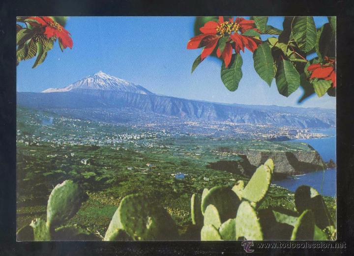 Postales: Teide. *Vista...* Ed. Eurimpex n&ordm; TE-135. Circulada 1981.