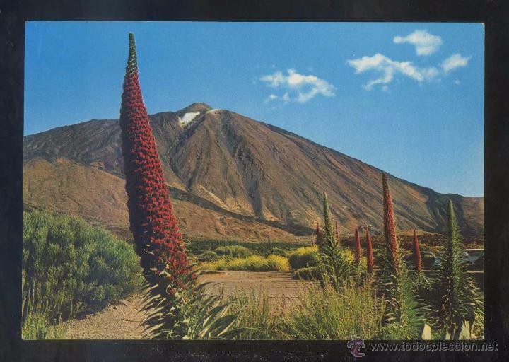 Postales: Teide *Tajinastes...* Ed. Gasteiz n&ordm; 2064. Nueva.