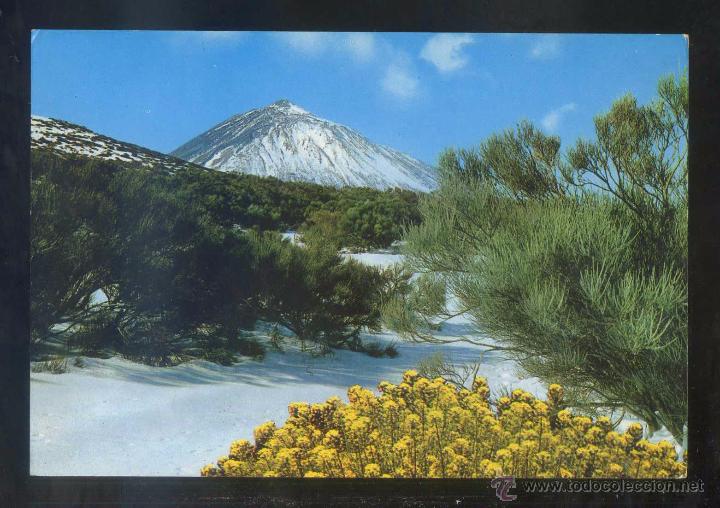 Postales: Teide *Teide* Ed. Gasteiz n&ordm; 2255. Nueva.