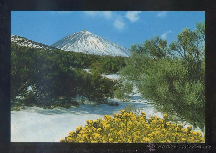 Postales: Teide *Teide* Ed. Gasteiz n&ordm; 2255. Circulada.
