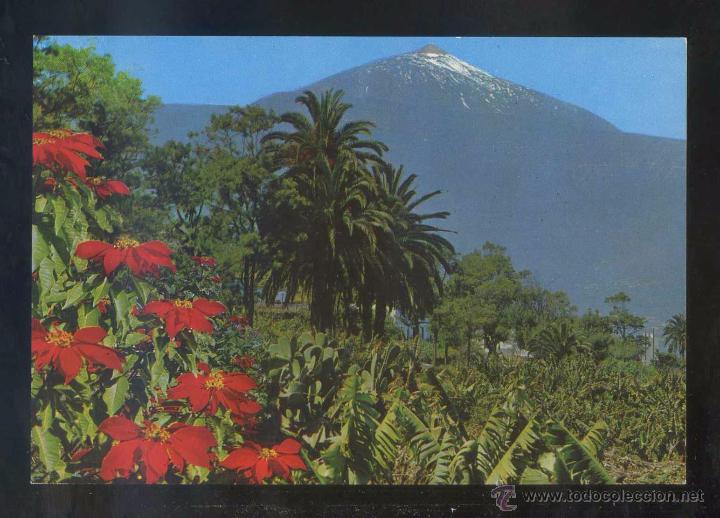 Postales: Teide. *Paisaje* Ed. Gasteiz n&ordm; 2256. Nueva.