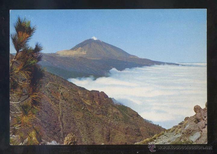 Postales: Teide *El Teide* Ed. Gasteiz n&ordm; 2794. Nueva.