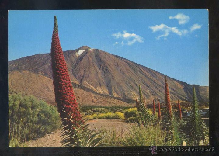 Postales: Teide *Tajinastes...* Ed. Gasteiz n&ordm; 2064. Nueva.