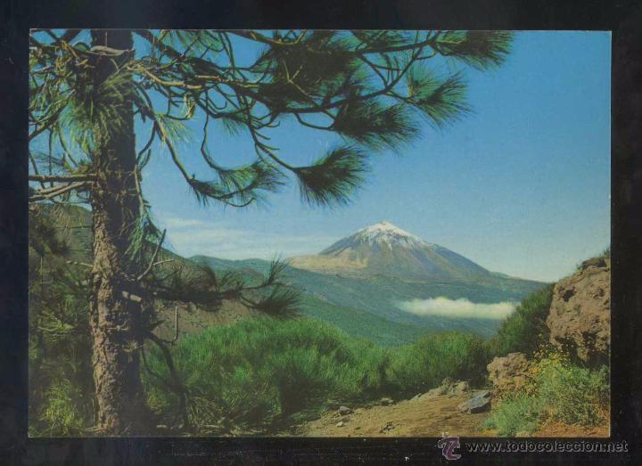 Postales: Teide *Pico...* Ed. Gasteiz n&ordm; 2954. Nueva.