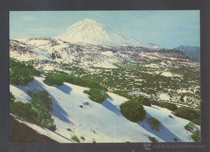 Postales: Teide *Teide nevado* Ed. Gasteiz n&ordm; 2955. Nueva.