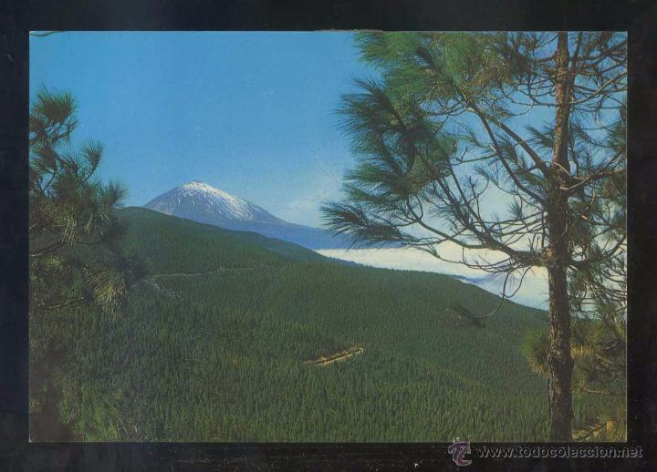 Postales: Teide *El Teide...* Ed. Gasteiz n&ordm; 2965. Circulada 1980.