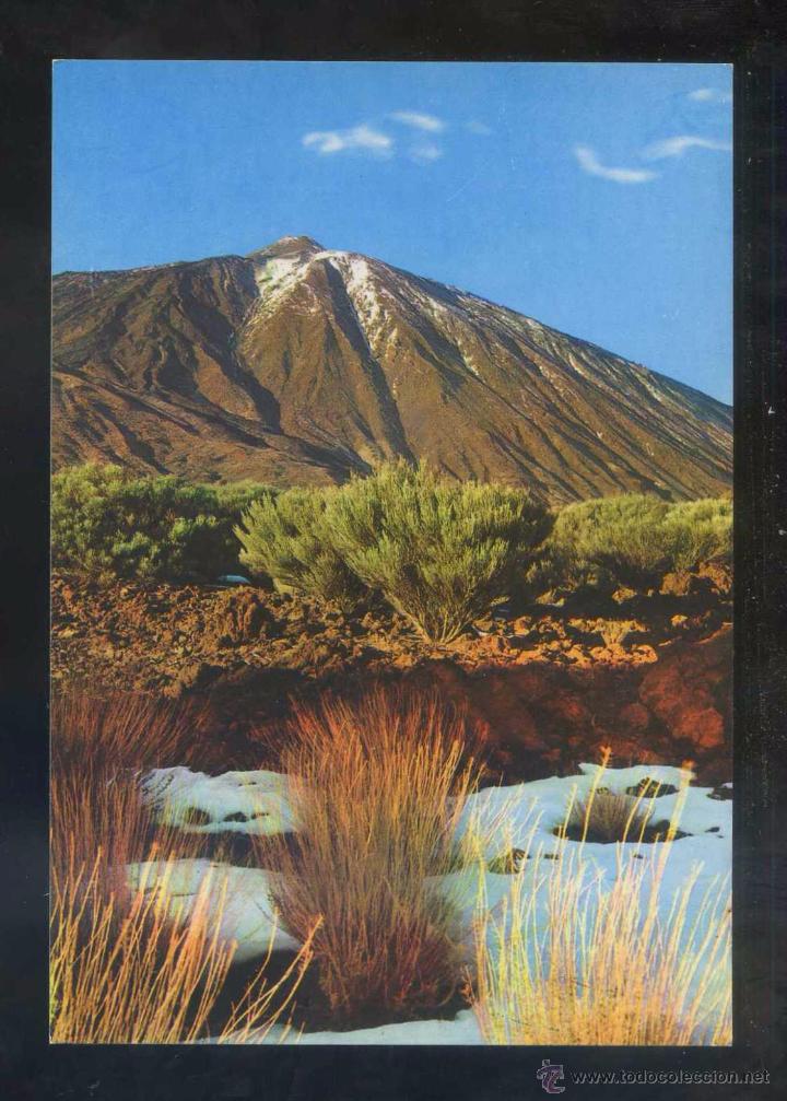 Postales: Teide *El Teide* Ed. Gasteiz n&ordm; 2063. Nueva.