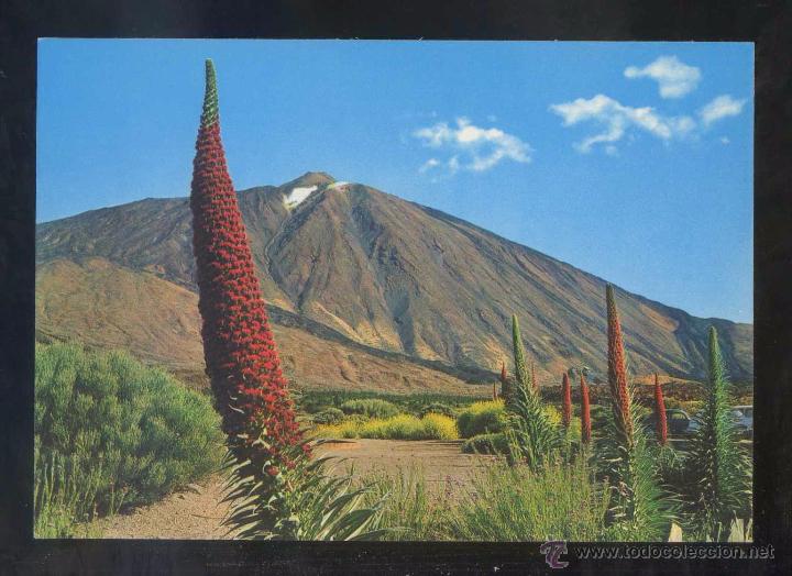Postales: Teide *Tajinastes...* Ed. Gasteiz n&ordm; 2064. Nueva.