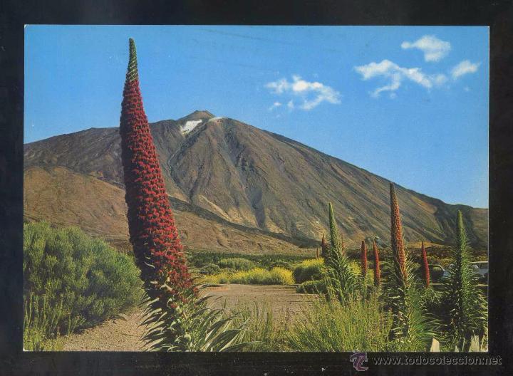 Postales: Teide *Tajinastes...* Ed. Gasteiz n&ordm; 2064. Circulada 1972.