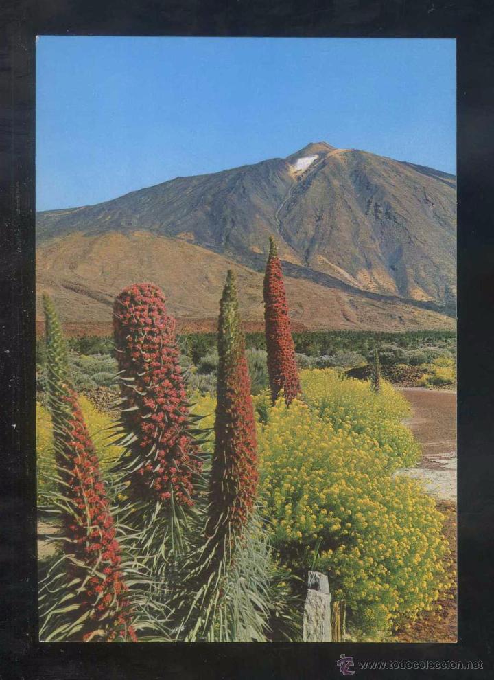 Postales: Teide *Tajinastes...* Ed. Gasteiz n&ordm; 2065. Nueva.