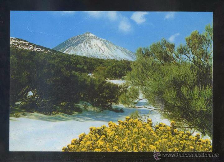 Postales: Teide *Teide* Ed. Gasteiz n&ordm; 2255. Nueva.