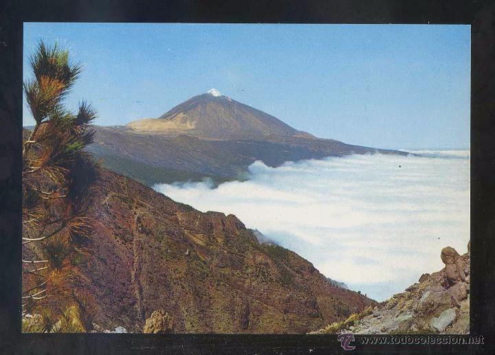 Postales: Teide. *El Teide* Ed. Gasteiz n&ordm; 2794. Nueva.