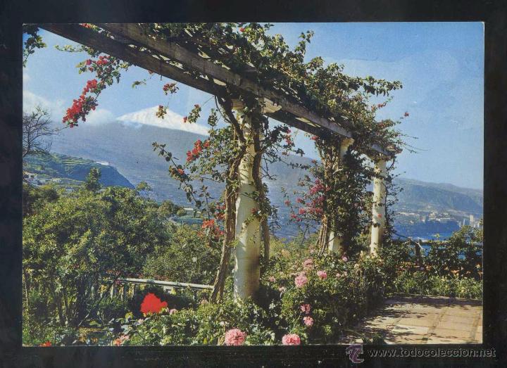 Postales: Teide *Paisaje* Ed. Gasteiz n&ordm; 2873. Nueva.