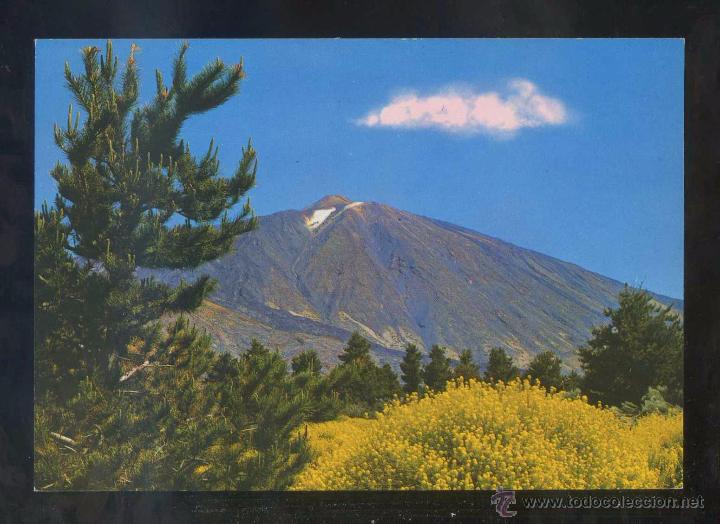 Postales: Teide *El Teide* Ed. Gasteiz n&ordm; 2874. Nueva.