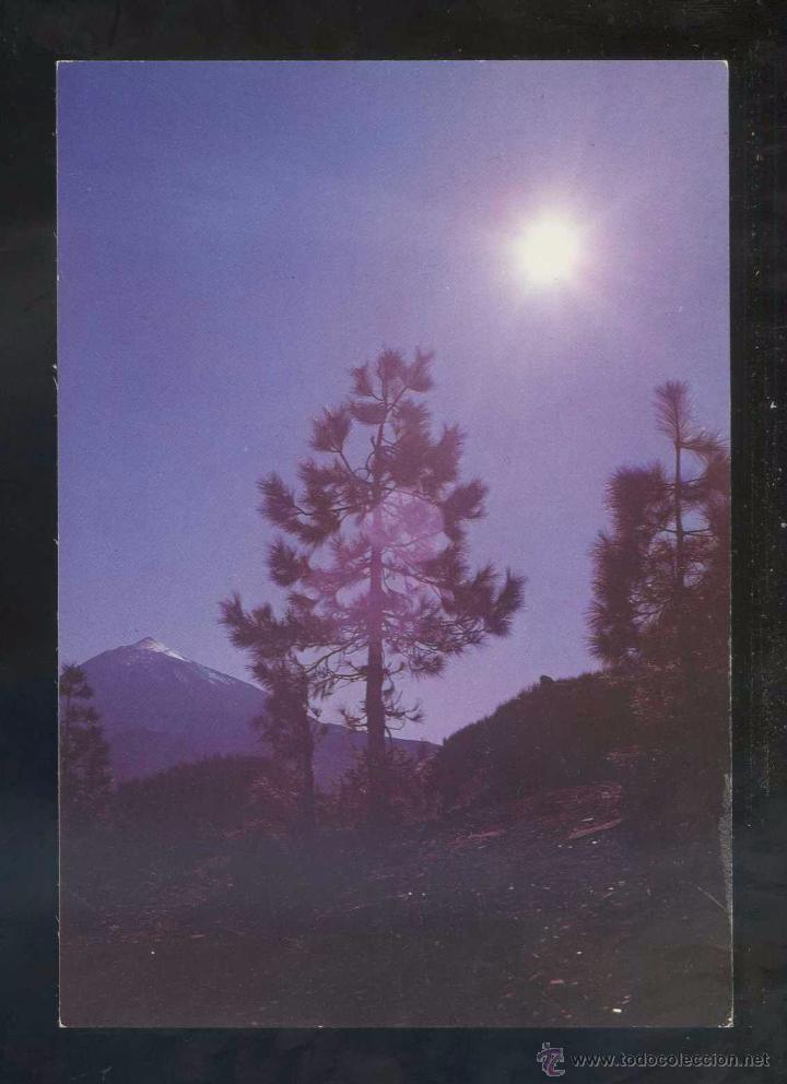 Postales: Teide *El Teide...* Ed. Gasteiz n&ordm; 2936. Nueva.