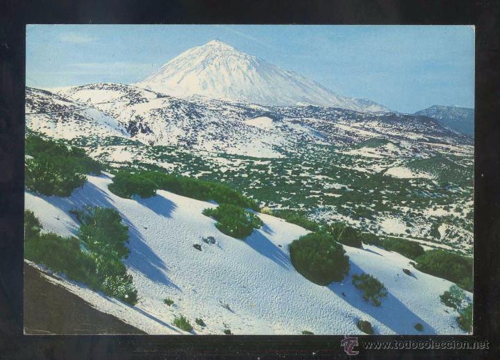 Postales: Teide *Teide nevado* Ed. Gasteiz n&ordm; 2955. Circulada 1977.