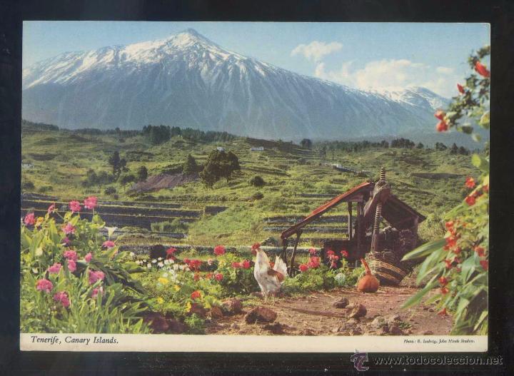 Postales: Teide *Al fondo...* Ed. John Hinde n&ordm; 2CT-46. Nueva.