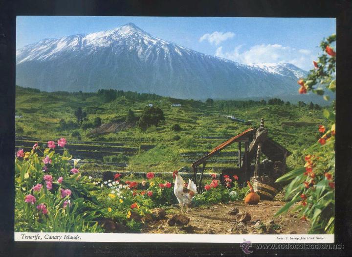 Postales: Teide *Al fondo...* Ed. John Hinde n&ordm; 2CT-46. Nueva.