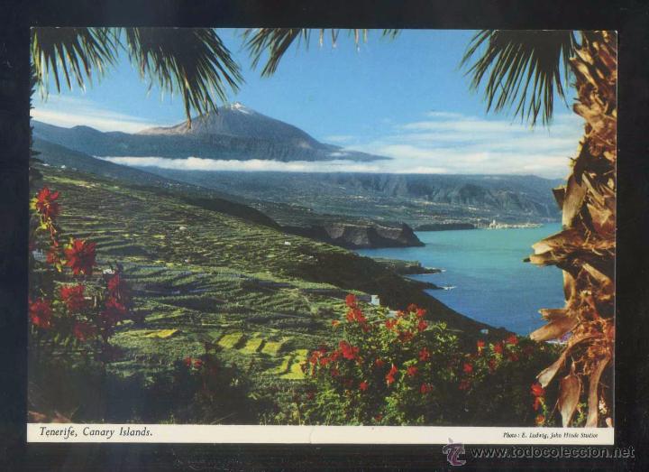 Postales: Teide. *La variedad...* Ed. John Hinde n&ordm; 2CT-112. Nueva.